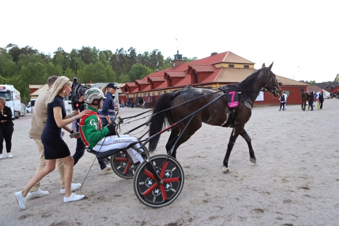 Just Believe går av banan efter galoppen i elitloppsförsöket på Solvalla. Tränaren Jess Tubbs går bakom hästen. Foto: Maria Holmén, TR Bild 